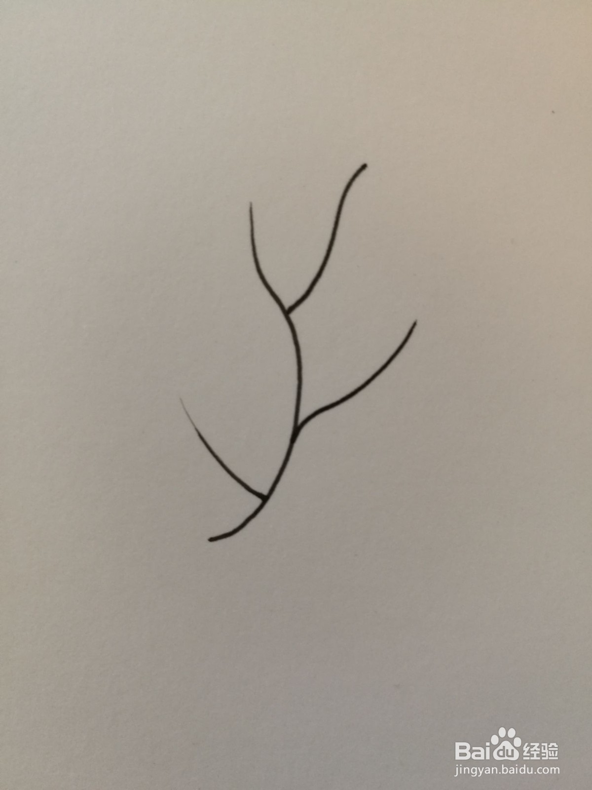 小草简笔画之画法六