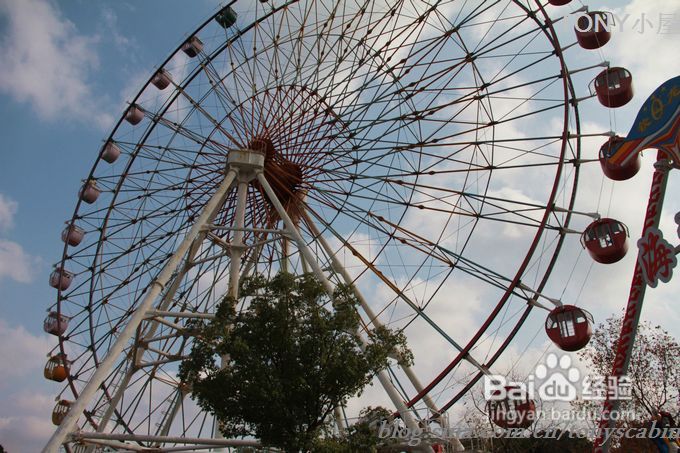 新手做土司必须要了解的5个要点---旅游外出给我们补充体力的芝麻黄油土司