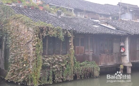 嘉兴到乌镇怎么走？大巴及公交线路