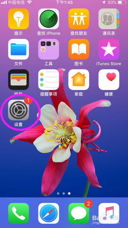 苹果手机出现了盘白功能怎么办