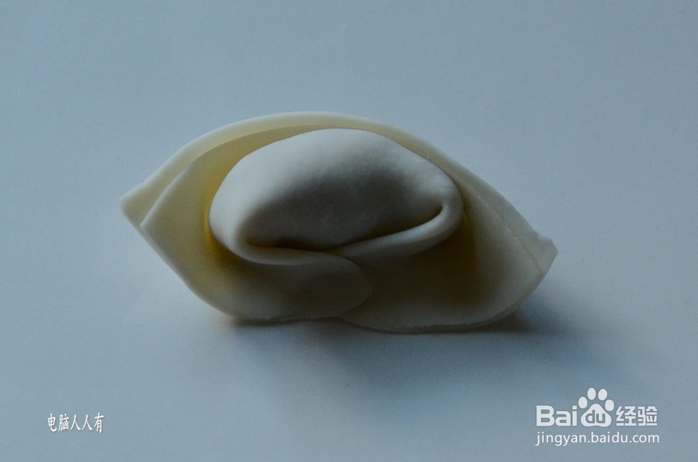 系列美食：[55]菜肉馄饨