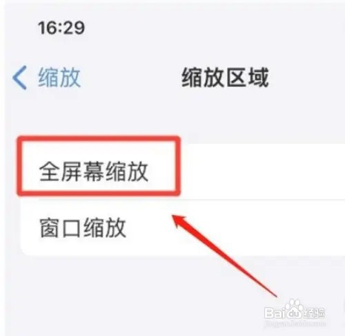 苹果手机的全屏幕缩放功能如何设置