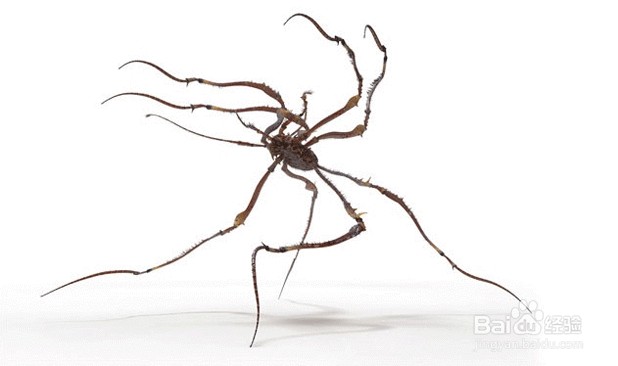 3dmax制作外景湿地场景流程