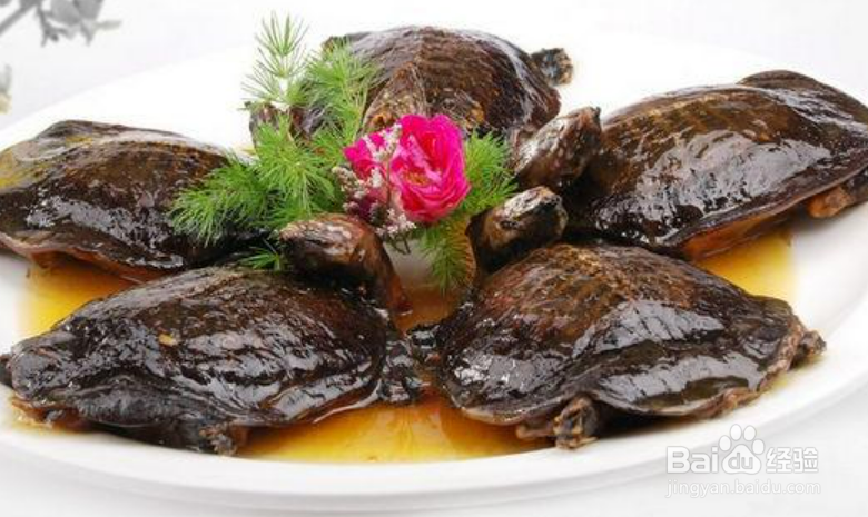 麻辣小甲鱼的秘制配方