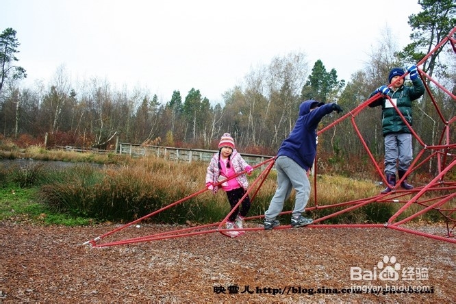 温哥华小学生郊游学什么