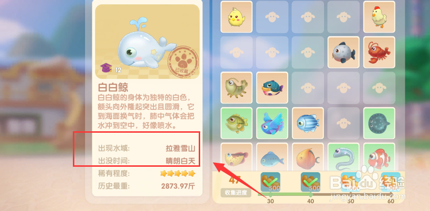 摩尔庄园鱼类分布在哪