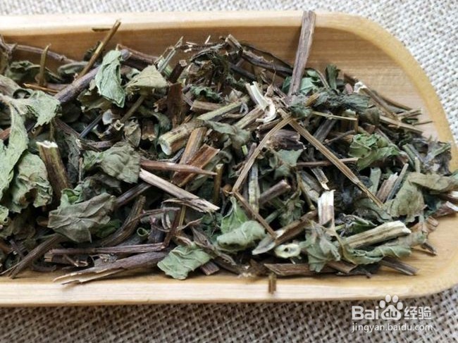 薄荷的养殖方法和注意事项