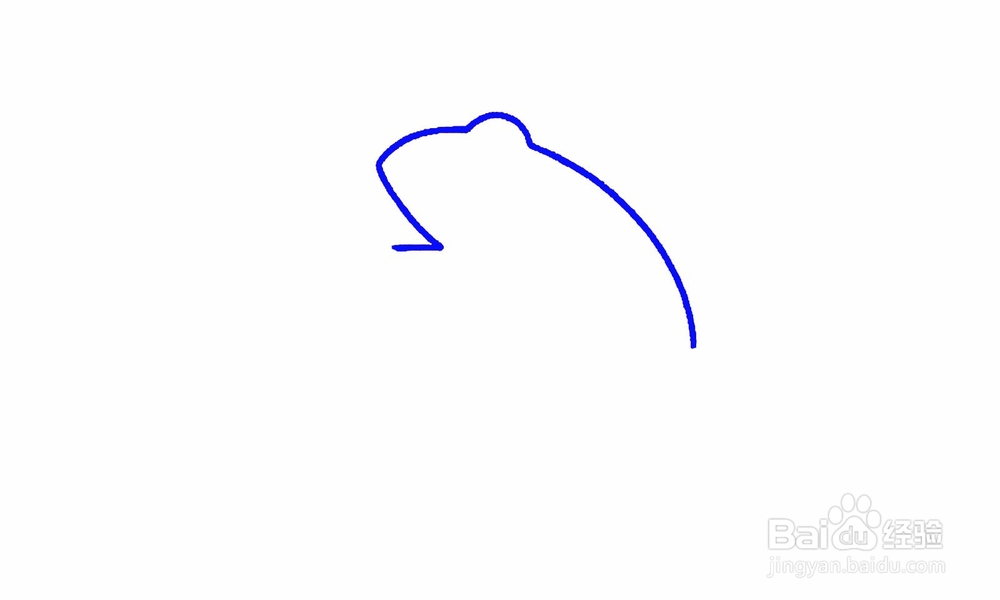 简笔画蹲着的青蛙怎么画?