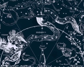 哪些星座把渣浪当炫耀资本