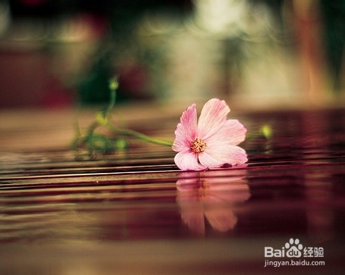 卵巢囊肿影响生育吗