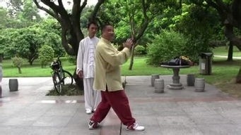 108式杨氏太极拳教程