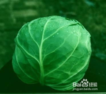 防脱发,哪家强?食疗秘方来改善!!!