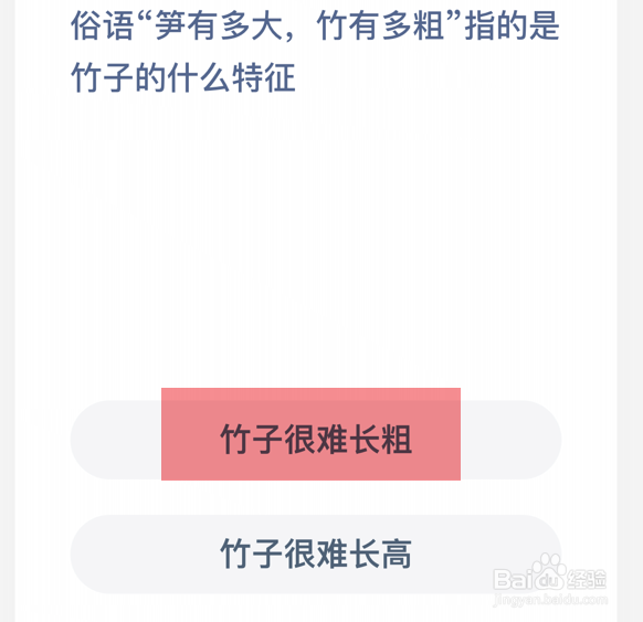蚂蚁庄园：笋有多大，竹有多粗