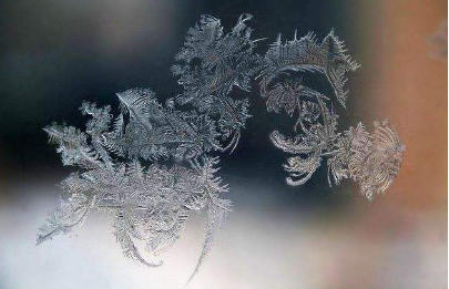 冰凌花里一幅画指的是什么