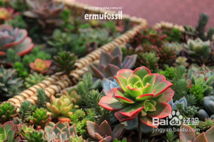 2012年6月23日 记录