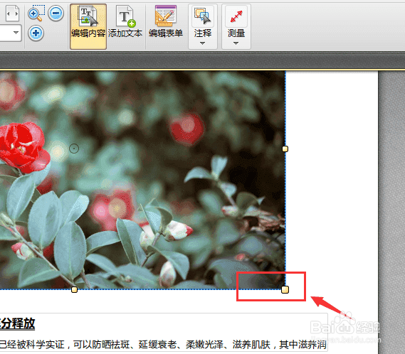 pdf文件怎么修改文字、图片及页面