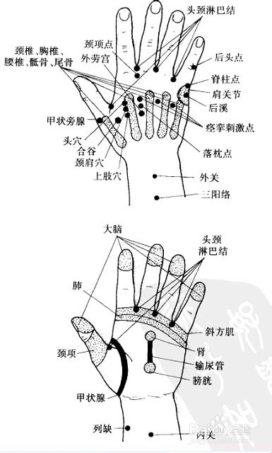 頭頸部按摩手法:[2]頸部自我按摩