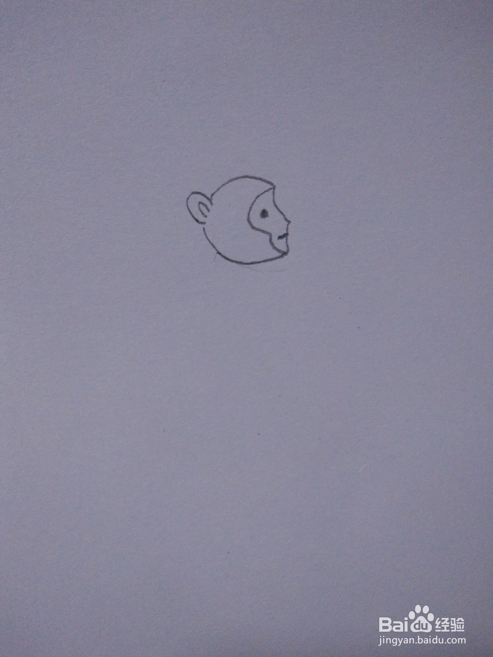 简笔画―如何画猴子骑独轮车简笔画？