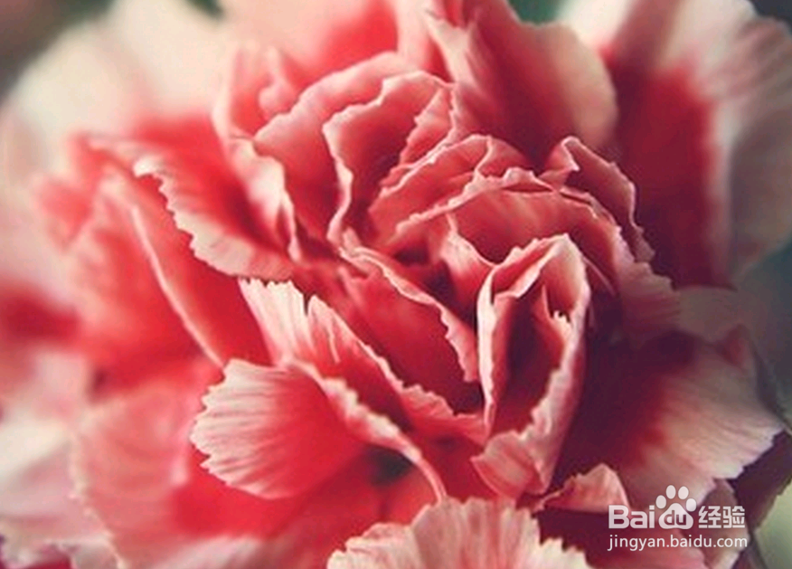 富不过三代,穷不过三代,你肿么看