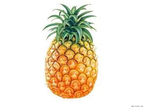 夏季水果如何保鲜?