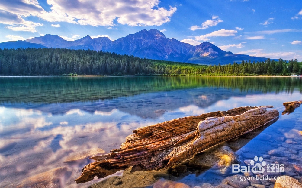 怎样和青春期的孩子相处