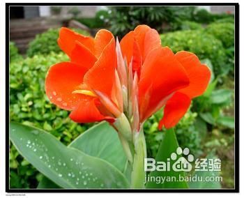 怎么去除房间异味