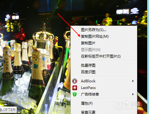 怎样插入网络图片