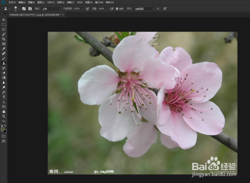 ps教程图片去水印的方法如何去水印
