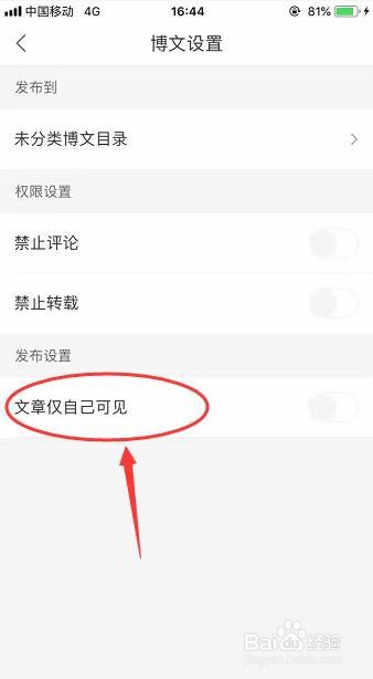 发布博客时怎么设置文章仅自己所见