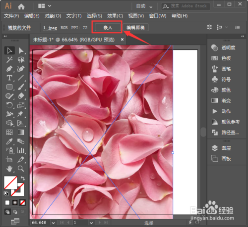ai怎样把图片嵌入图形