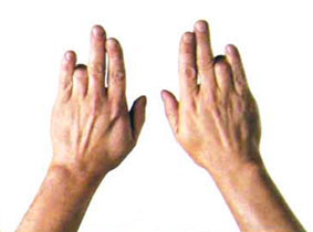 弹筝者怎样锻炼手指的灵活度