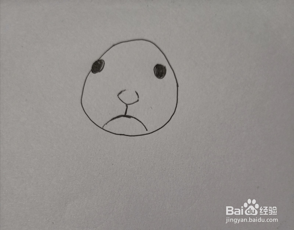 小白兔的简笔画