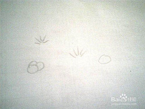 简笔画草地: