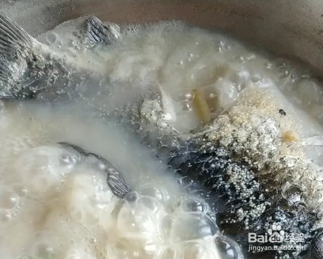 非常火的萝卜豆腐鲫鱼奶白汤