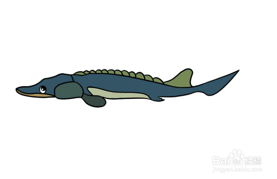 长江鲟鱼简笔画图片