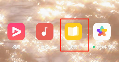 OPPO手机看小说开启夜间模式步骤