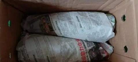 小笋子怎样保存