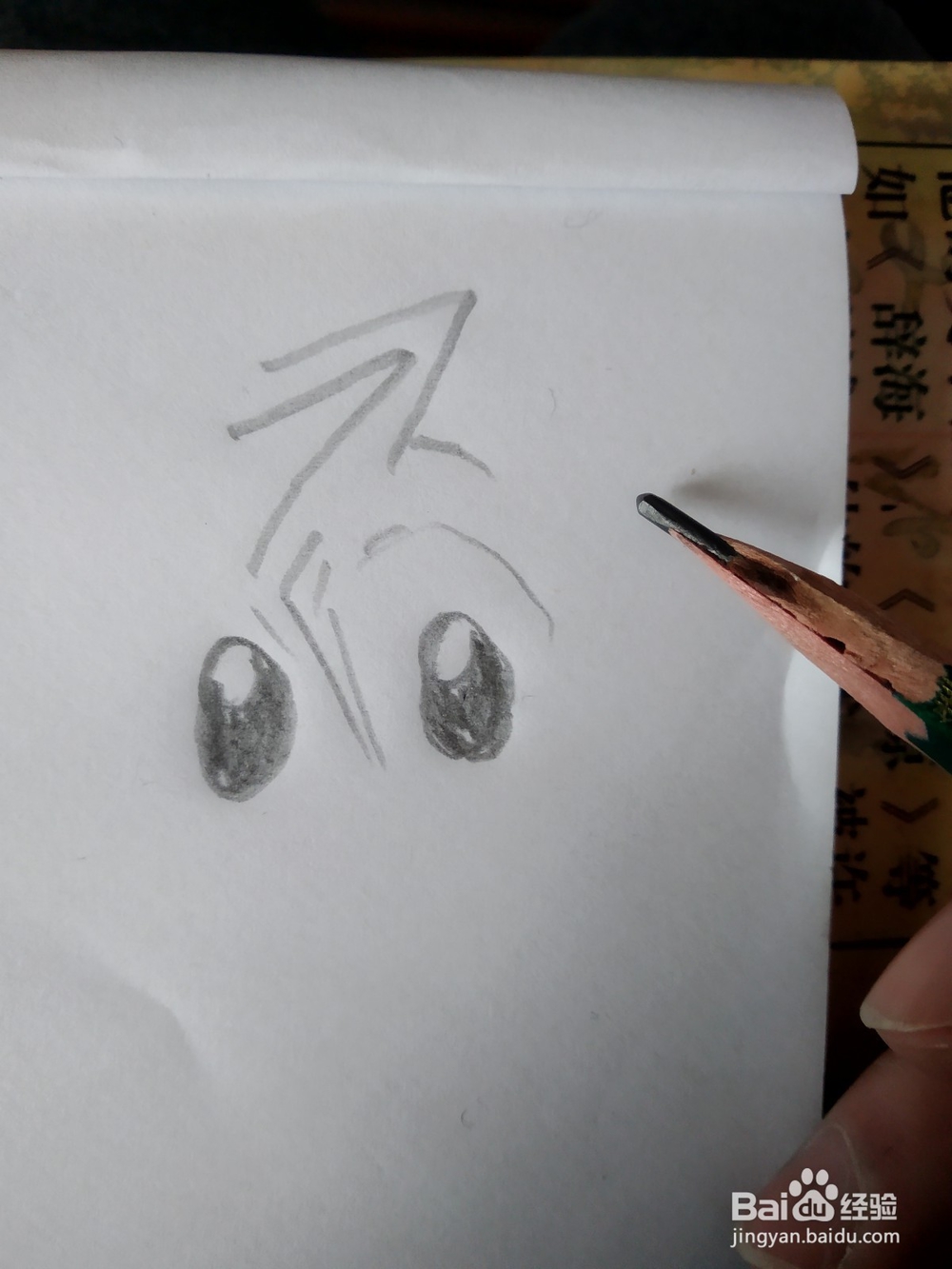 冰冻生菜怎么画