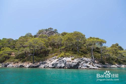 元谋土林旅游攻略