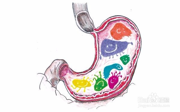 二岁宝宝厌食怎么办