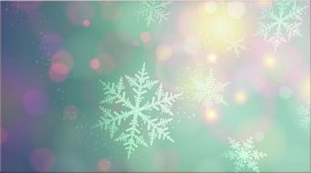 如何正确的管理自己