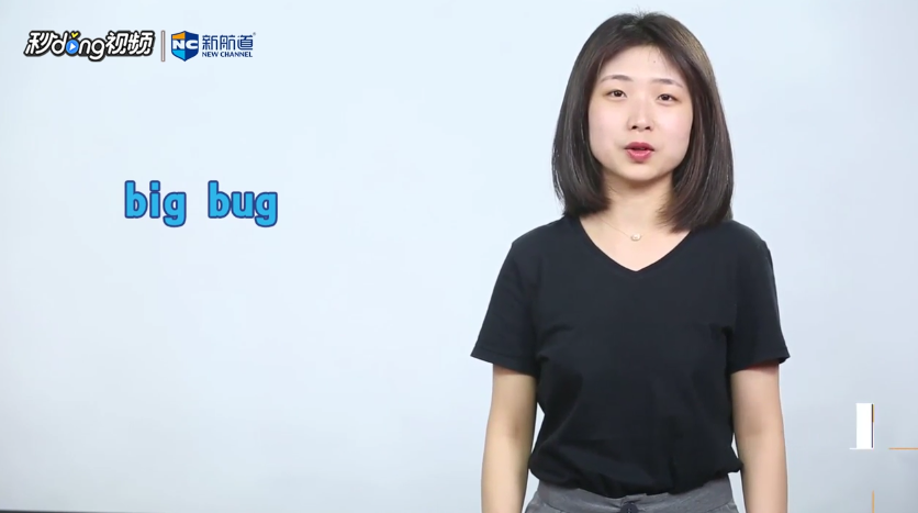 bug是什么意思