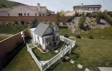 藏獒后腿外八字