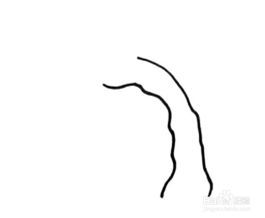杨柳树的儿童卡通简笔画教程