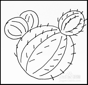 怎样画简笔画（花卉）：[5]仙人球