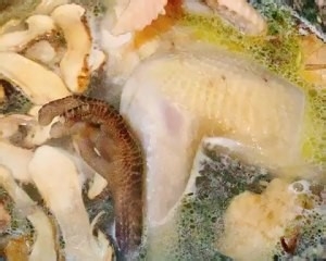 美食汤羹--药膳老母鸡汤