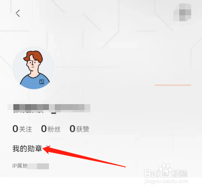 安卓版极氪如何查看我的勋章