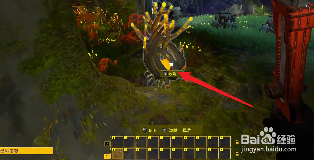 星核工厂燃料藤蔓怎么获得