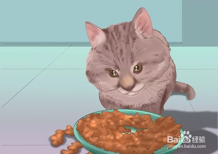 怎样照顾幼猫？