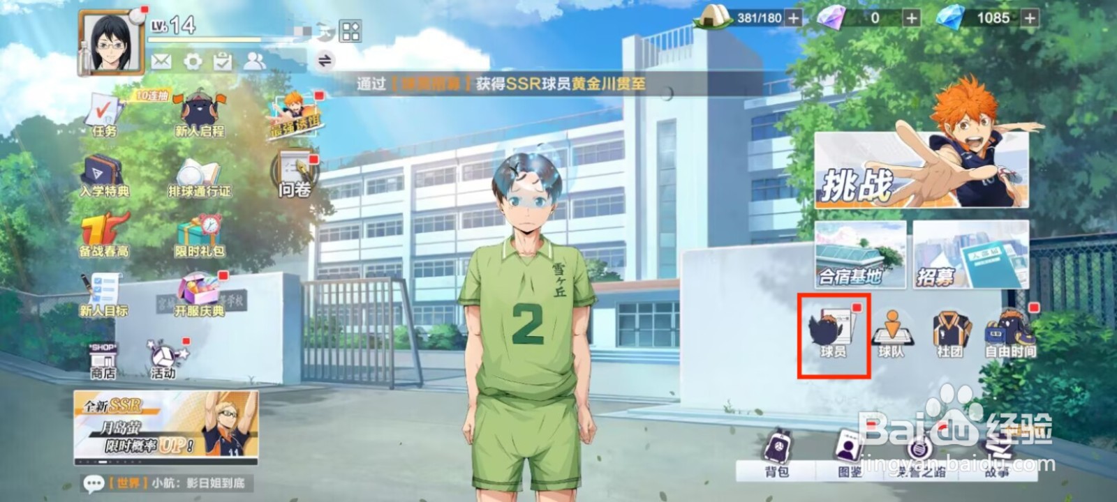 排球少年新的征程如何提升樱井大河等级？